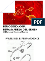 Teriogenologia Tema: Manejo Del Semen: MVZ Fernando Benavides Manrique