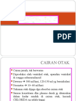 Cairan Otak