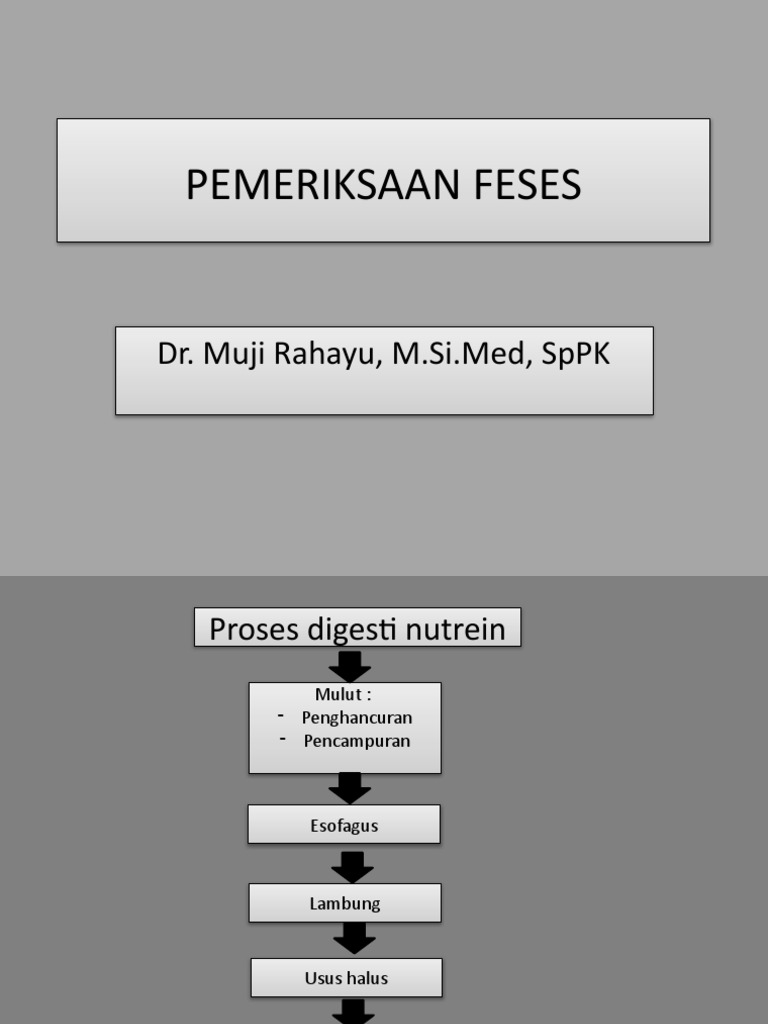 Pemeriksaan Feses: Proses & Tes | PDF | Sains & Matematika