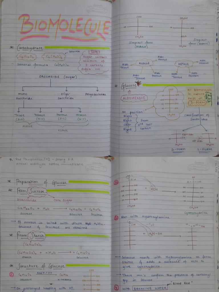 Biomolecules Pdf Download Free Pdf Carbohydrates Glycogen