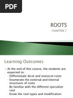 Week 7 - ROOTS PDF