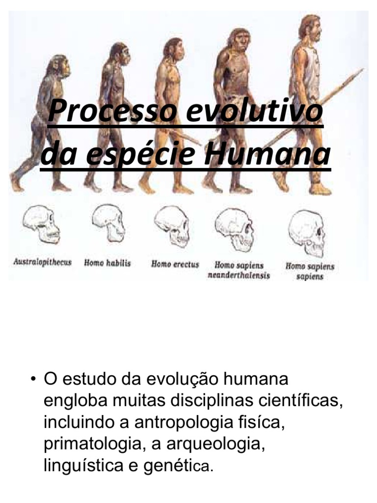 Evolução da Espécie Humana | PDF | Ciências Sociais