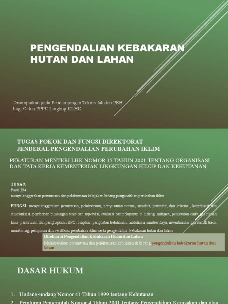 Bahan Pendampingan P3K PEH - PKHL - PPI | PDF | Sains & Matematika