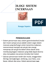 Anfis Sistem Pencernaan