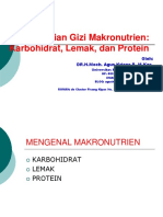 2-Kajian Gizi Makronutrien - Karbohidrat, Lemak, Protein