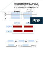 Review - MENDEL GENETICS