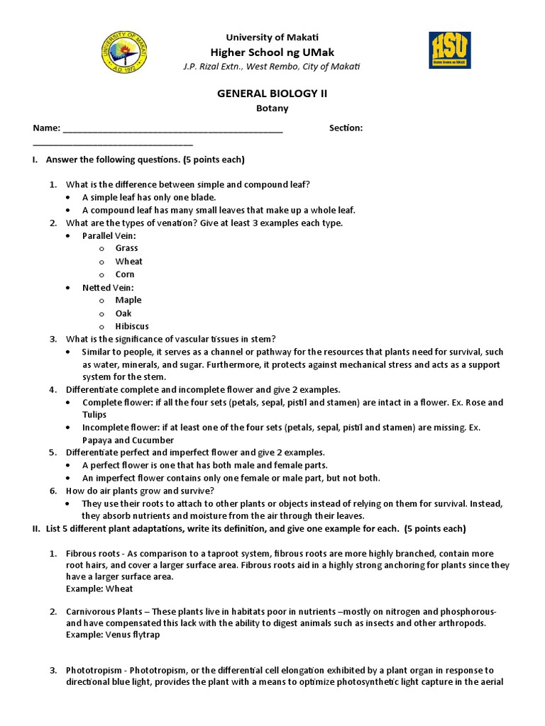 Topic 1 and 2 (Botany Activity) PDF Leaf Root