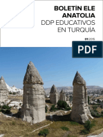 Errores Comunes de Aprendientes Turcos D PDF