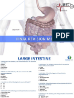 Anatomy of the Large Intestine