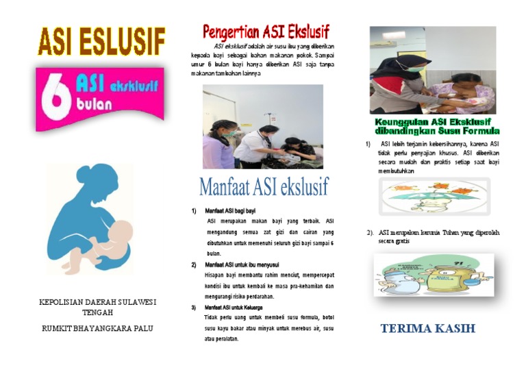 Leaflet Asi Pdf