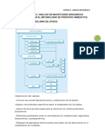 Teoría BT2.C4 PDF