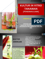 2022-2-Pendahuluan Kultur in Vitro Tanaman PDF