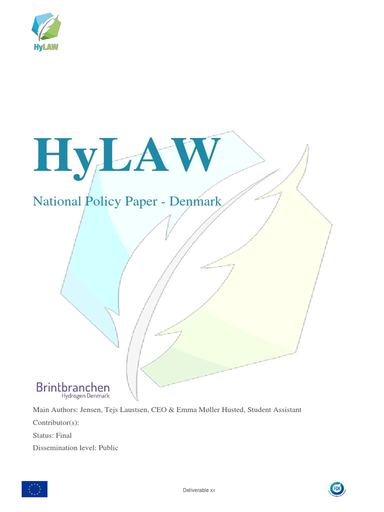 National Policy Paper - Denmark (EN) | PDF | Renewable Energy ...