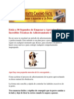 como educar a mi perro - como enseñarle a un perro a ir al baño - como educar perros