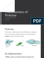 Characteristics of Protozoa