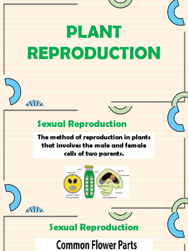 GR4 Science Plant Reproduction PDF Flowers Sexual Reproduction