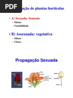 Horti PropagaÇÃo 01[1]