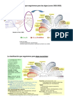 Dossier Encuadre Sistematico Algas-2022 PDF