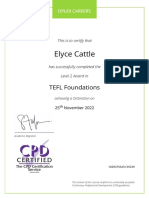 Elyce Cattle: TEFL Foundations