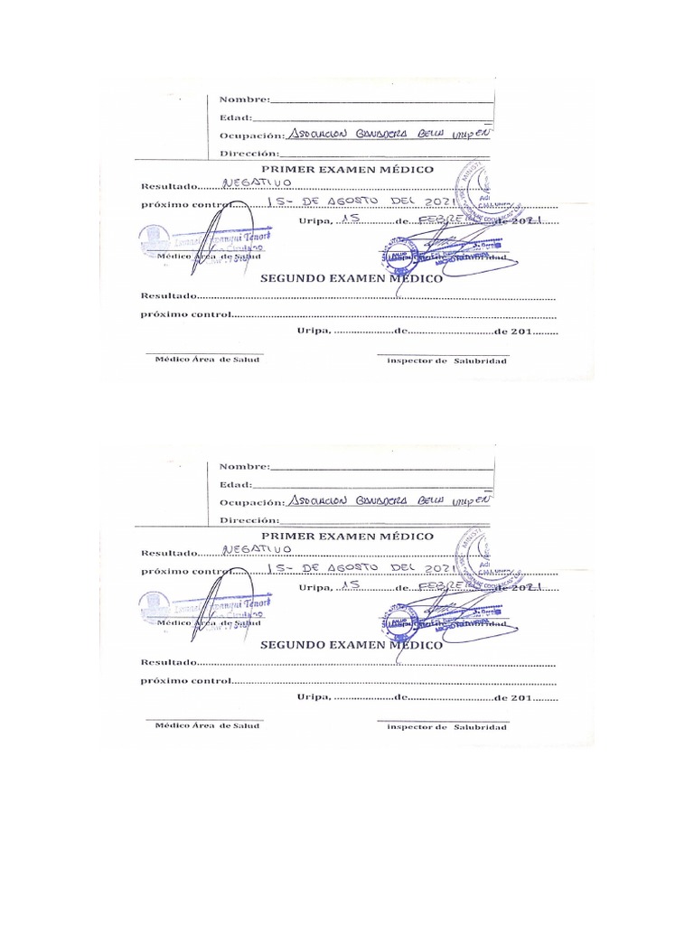 Modelo de Carnet | PDF