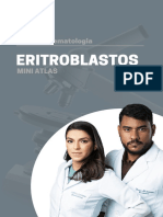 Atlas Hematologia Eritroblastos