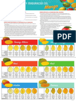 Madurez Del Mango Org PDF