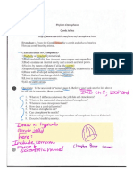 Phylum Ctenophora and Simple Worms