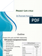 Project Life Cycle Stages and Processes