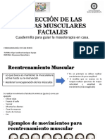 Cuadernillo PF PDF