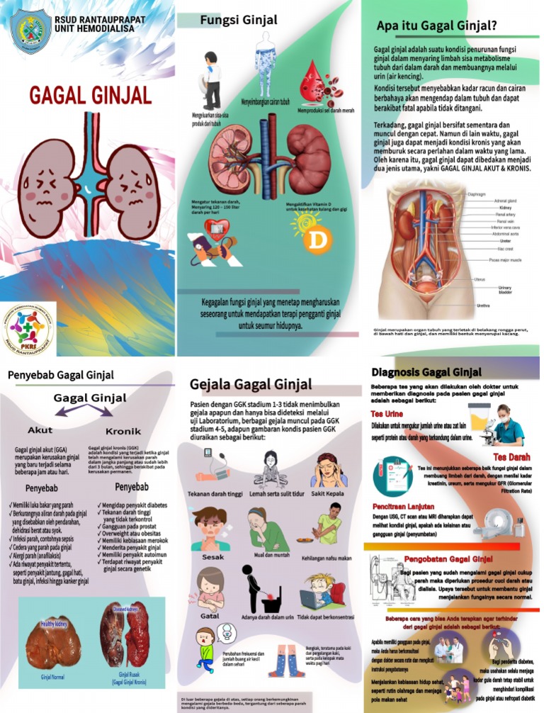 Masalah Pencernaan pada Pasien Gagal Ginjal: Tantangan yang Sering Terabaikan