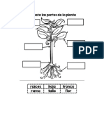 Actividad Repaso Las Plantas