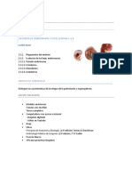 Practica 1 Desarrollo