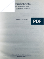 Castillo, Daniel (2017) Cultura y Sociedad PDF