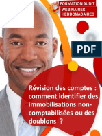 Guide L Revision Des Comptes D'immobilisation L Tableau Des Mouvements v4