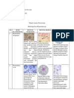 Plasmodium SP Baru