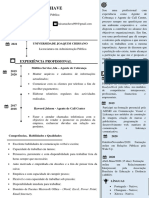 CV - Luísa Machave PDF