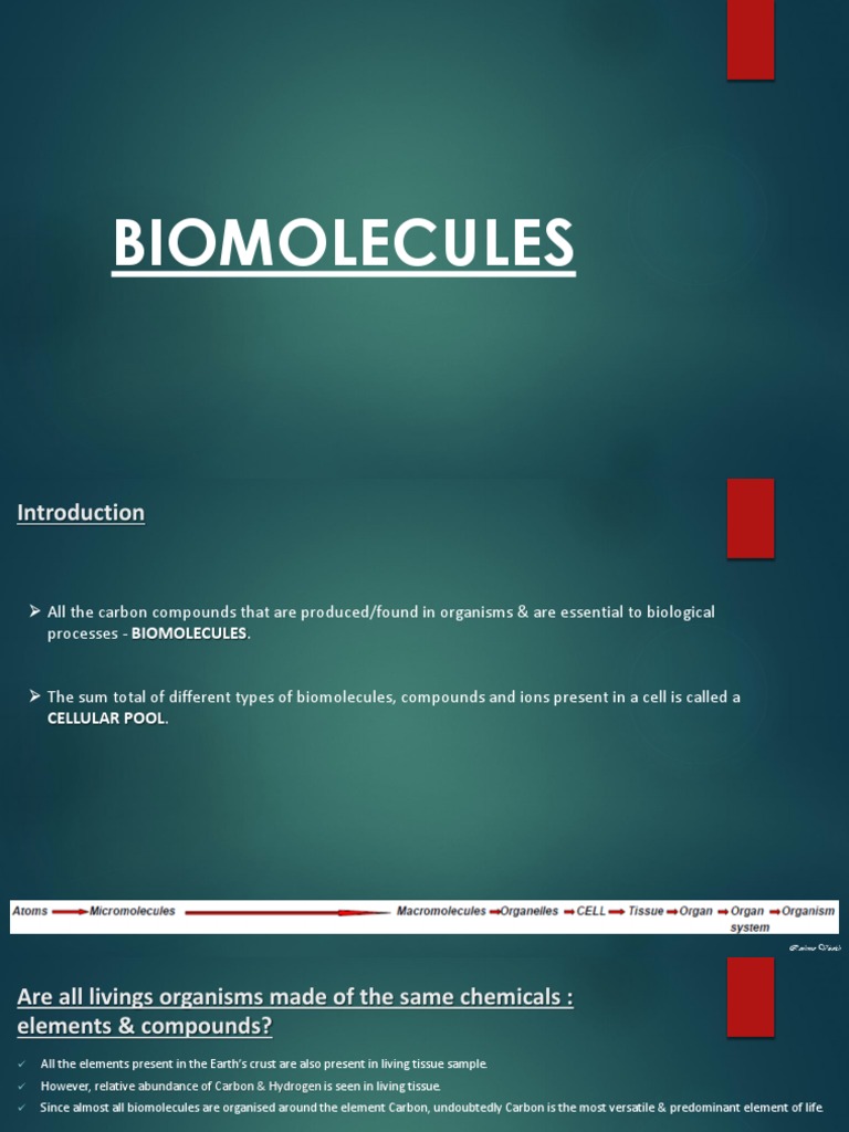 Biomolecules An Introduction to the Chemical Components of Life PDF