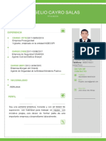 Plantilla Curriculum Vitae 5