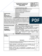 Perfil Cargo Nuevo PDF