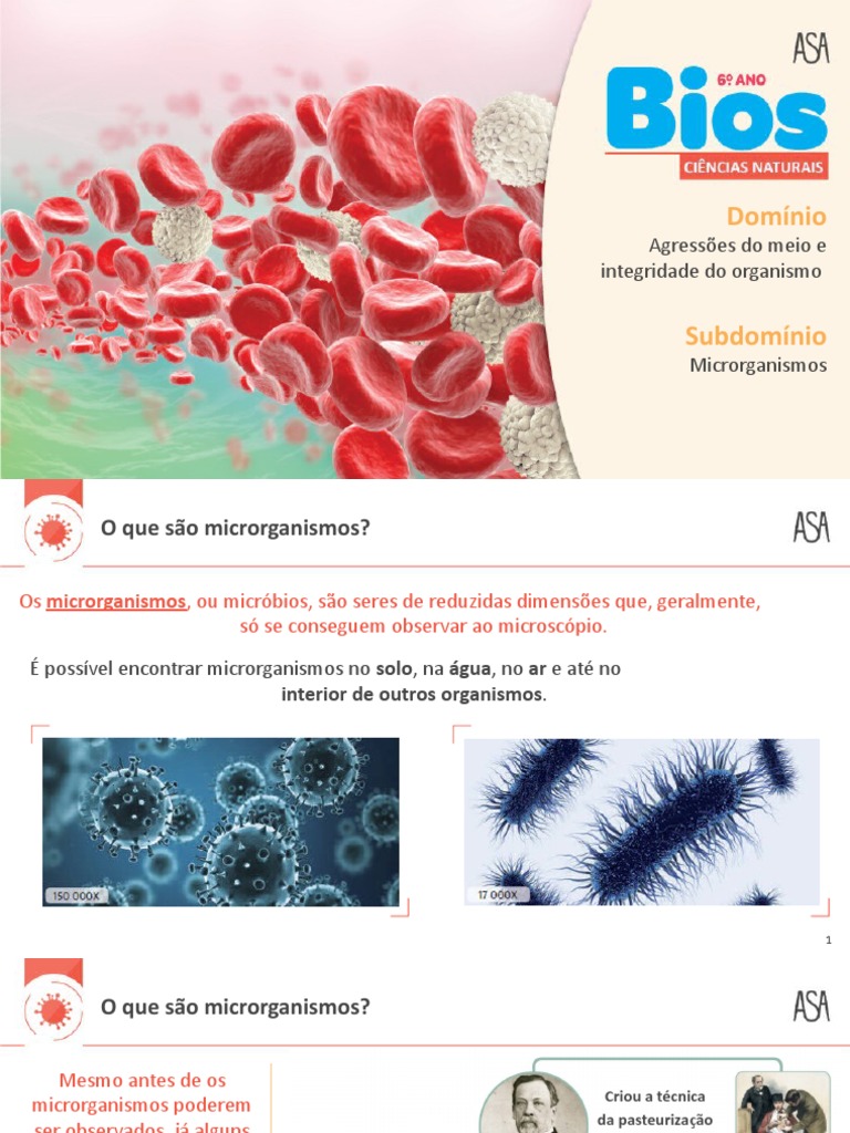 O que são microrganismos? | PDF | Microrganismo | Bactérias