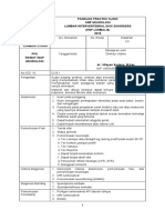 PPK HNP Lumbalis