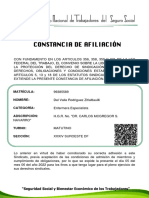 Constancia - 2022-06-05t125849.008zitlaltlauilli Del Valle PDF