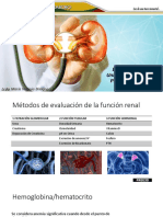 Renal3 PDF