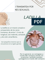 Biologia Diapositiva