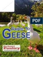 Geese Guide 2019
