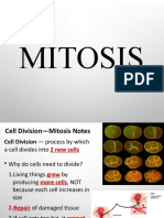 Mitosis Powerpoint