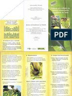 CPAF AP 2011 Folder Banana PDF