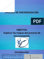 Proceso de Sincronización.