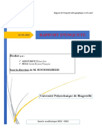 Rapport Statistique PDF