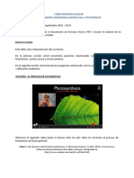 Componente Asincronico Grupal CAG - Fotosintesis PDF